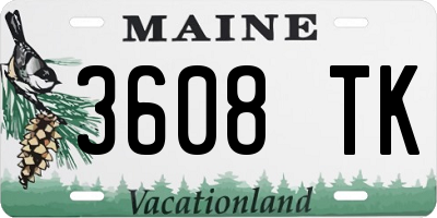 ME license plate 3608TK