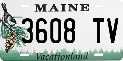 ME license plate 3608TV