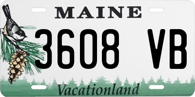 ME license plate 3608VB