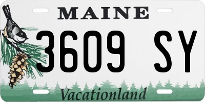 ME license plate 3609SY