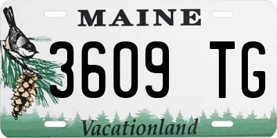 ME license plate 3609TG