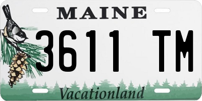 ME license plate 3611TM