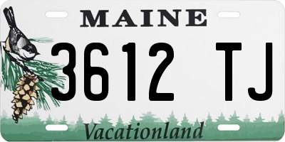ME license plate 3612TJ