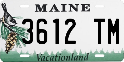 ME license plate 3612TM