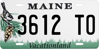 ME license plate 3612TO