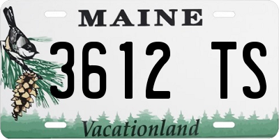 ME license plate 3612TS