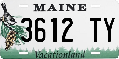 ME license plate 3612TY