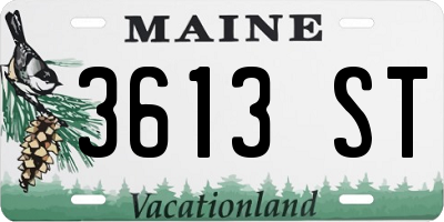 ME license plate 3613ST