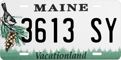ME license plate 3613SY