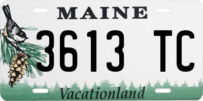 ME license plate 3613TC