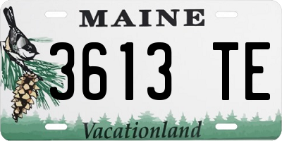 ME license plate 3613TE