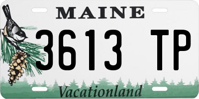 ME license plate 3613TP