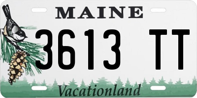 ME license plate 3613TT