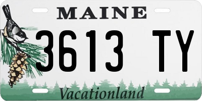ME license plate 3613TY