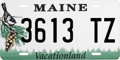 ME license plate 3613TZ