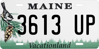 ME license plate 3613UP