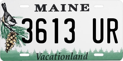 ME license plate 3613UR