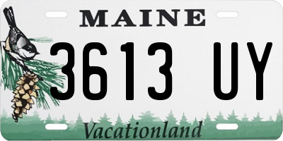 ME license plate 3613UY