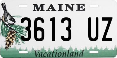 ME license plate 3613UZ