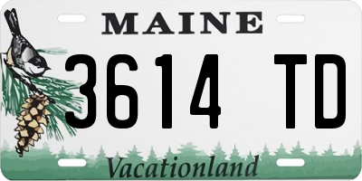ME license plate 3614TD