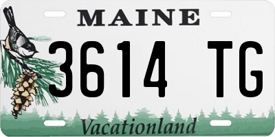 ME license plate 3614TG