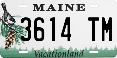 ME license plate 3614TM