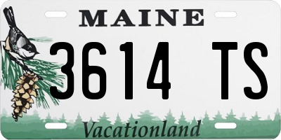 ME license plate 3614TS