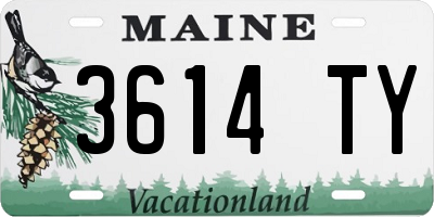 ME license plate 3614TY