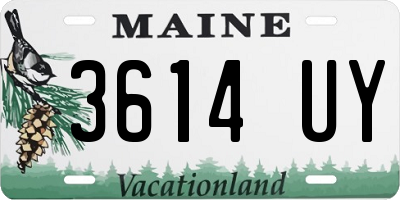 ME license plate 3614UY