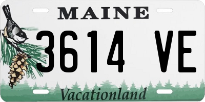 ME license plate 3614VE