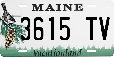 ME license plate 3615TV