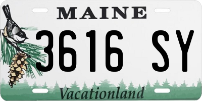 ME license plate 3616SY
