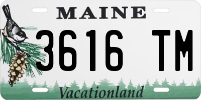 ME license plate 3616TM