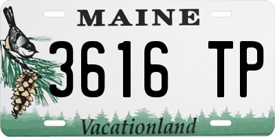 ME license plate 3616TP