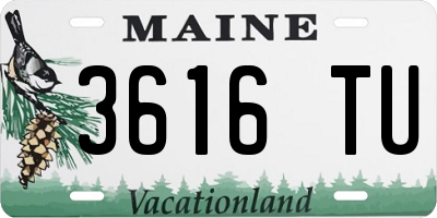 ME license plate 3616TU