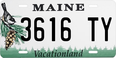 ME license plate 3616TY