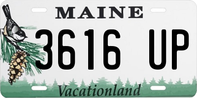 ME license plate 3616UP