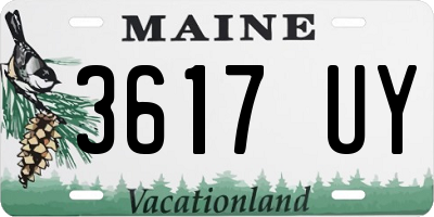 ME license plate 3617UY