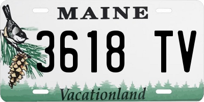 ME license plate 3618TV
