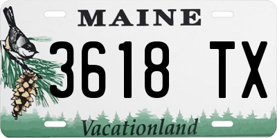 ME license plate 3618TX