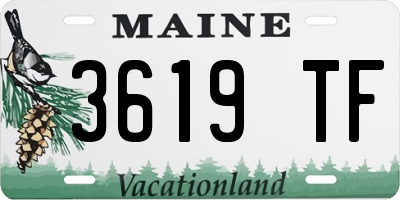 ME license plate 3619TF