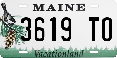 ME license plate 3619TO