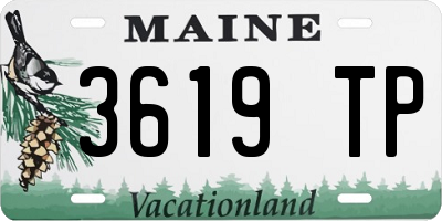 ME license plate 3619TP