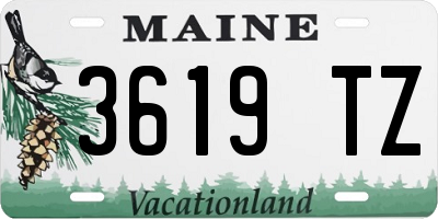 ME license plate 3619TZ