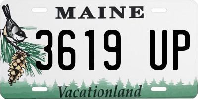 ME license plate 3619UP