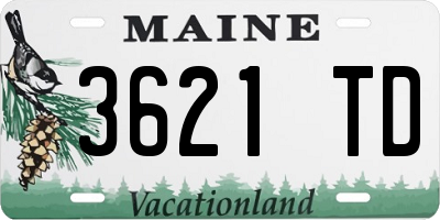 ME license plate 3621TD