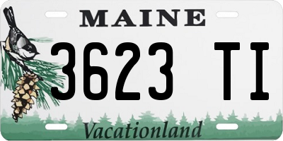 ME license plate 3623TI