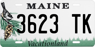 ME license plate 3623TK