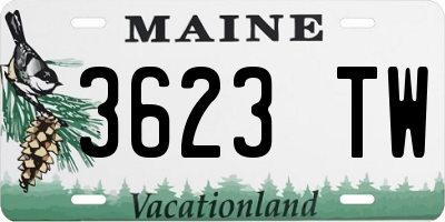 ME license plate 3623TW