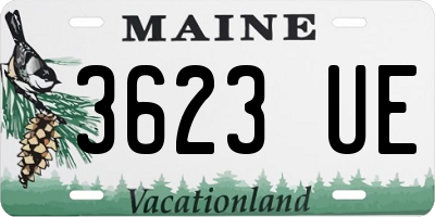ME license plate 3623UE